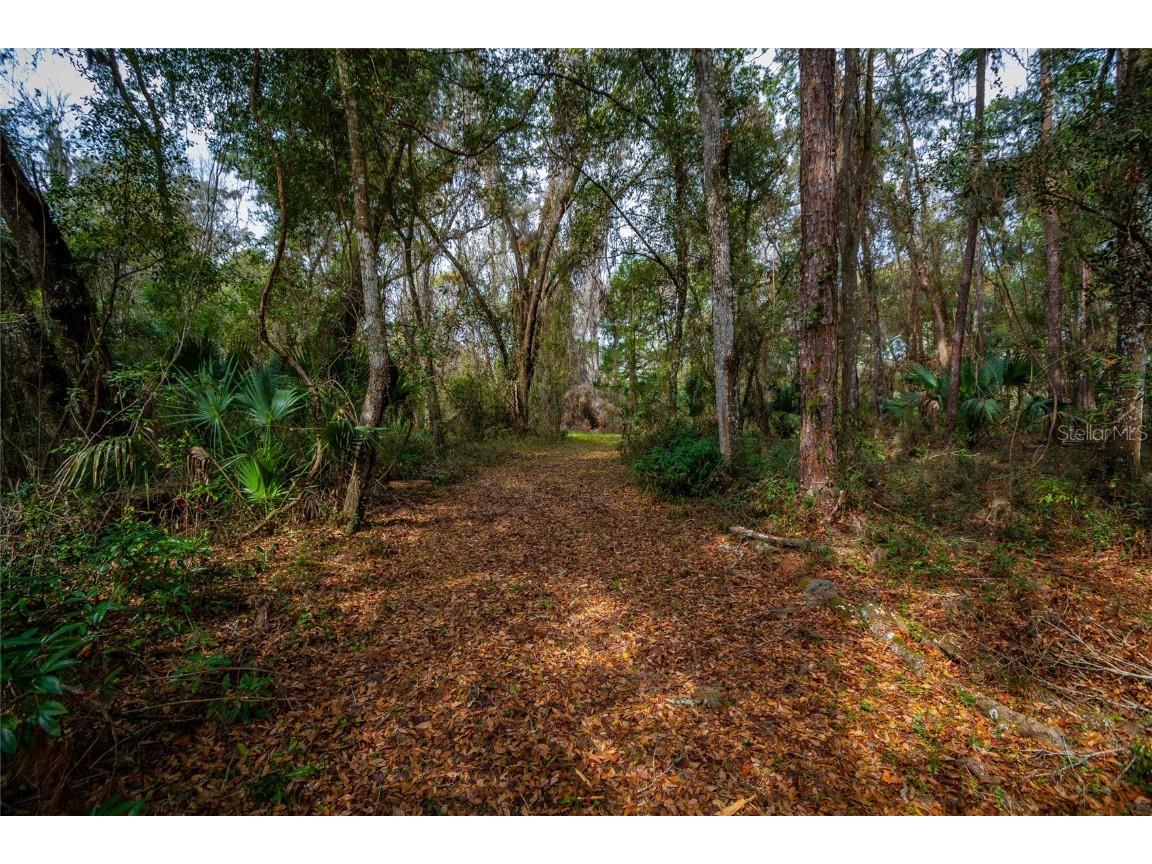 7822 Cr 647 Bushnell FL 33513 - WITHLACOOCHEE RIVER TB8353084 image3