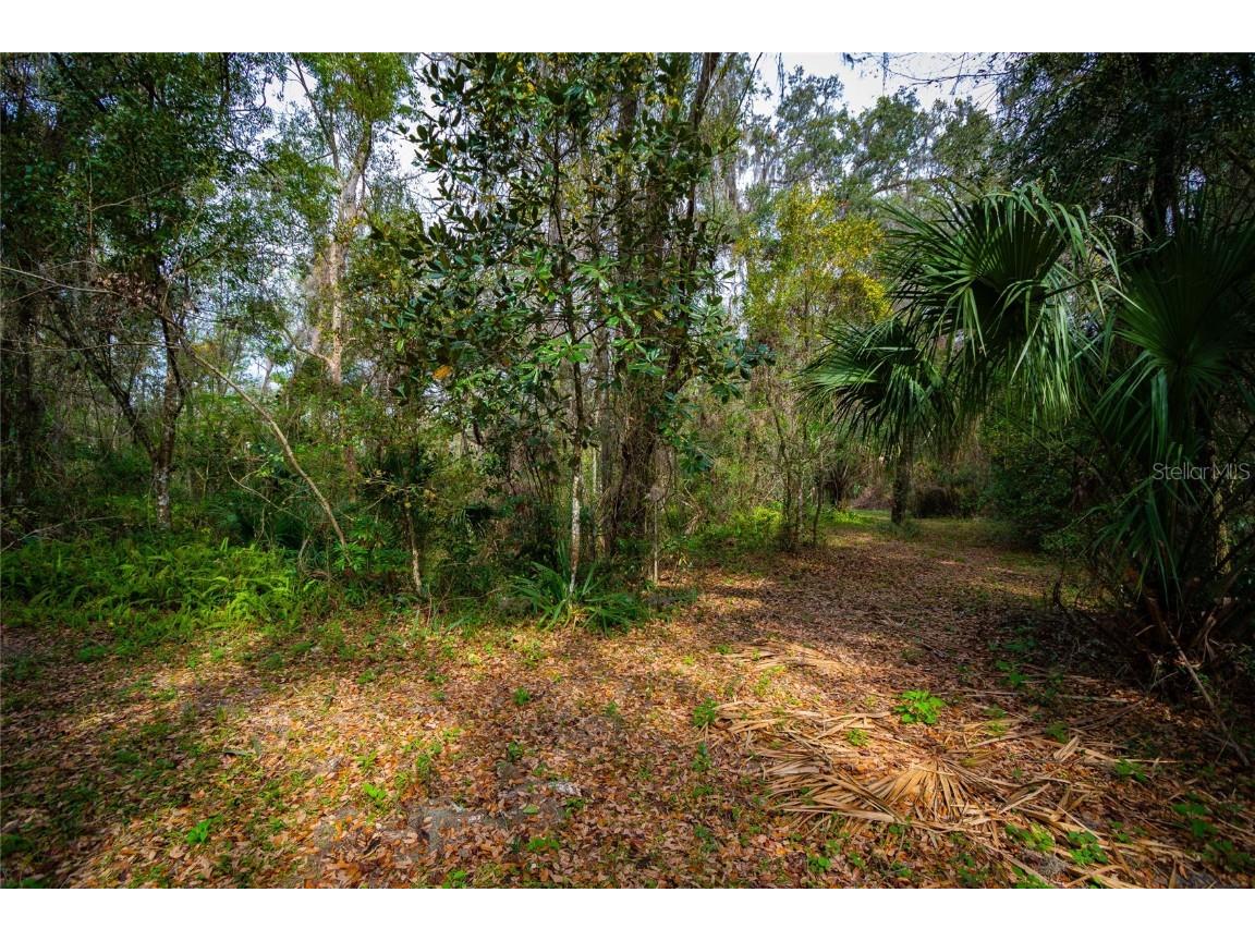 7822 Cr 647 Bushnell FL 33513 - WITHLACOOCHEE RIVER TB8353084 image4