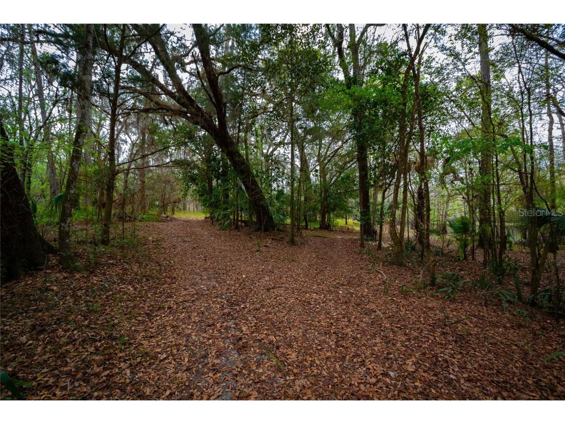 7822 Cr 647 Bushnell FL 33513 - WITHLACOOCHEE RIVER TB8353084 image5