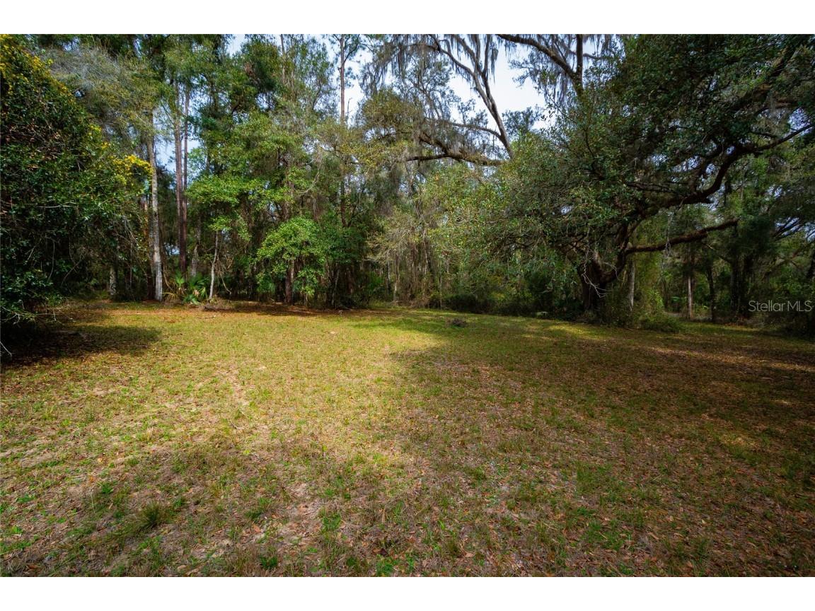 7822 Cr 647 Bushnell FL 33513 - WITHLACOOCHEE RIVER TB8353084 image6