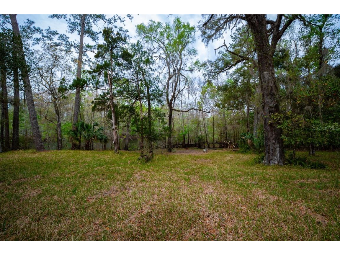 7822 Cr 647 Bushnell FL 33513 - WITHLACOOCHEE RIVER TB8353084 image7