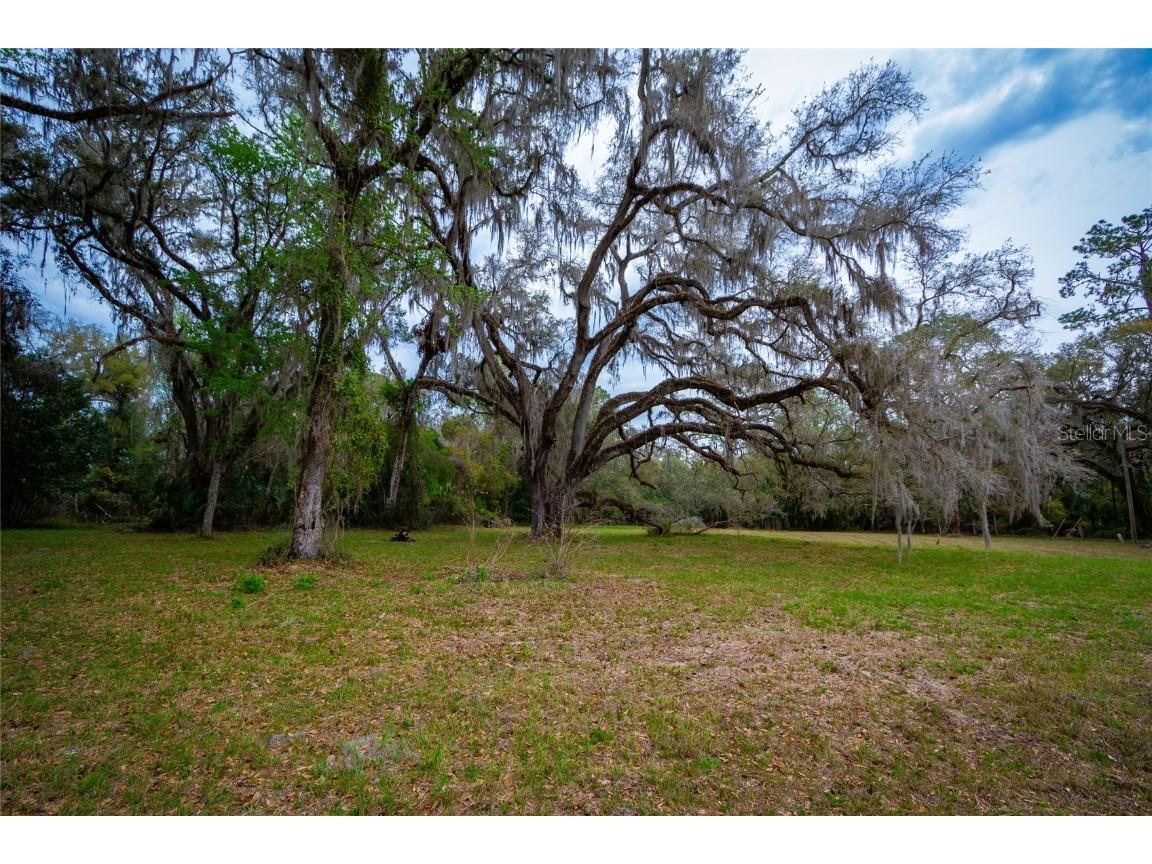 7822 Cr 647 Bushnell FL 33513 - WITHLACOOCHEE RIVER TB8353084 image8