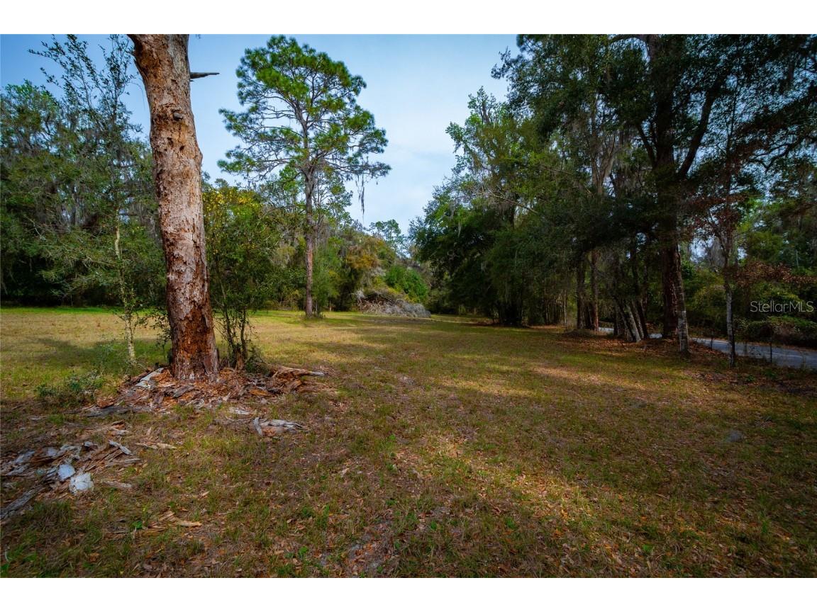 7822 Cr 647 Bushnell FL 33513 - WITHLACOOCHEE RIVER TB8353084 image9