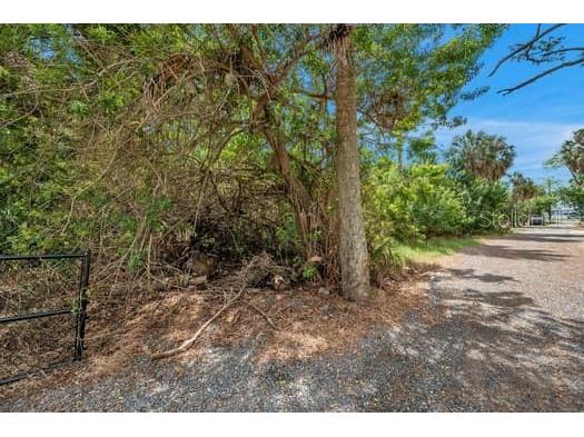 7822 Wilmar Court Port Richey FL 34668 U8215135 image3