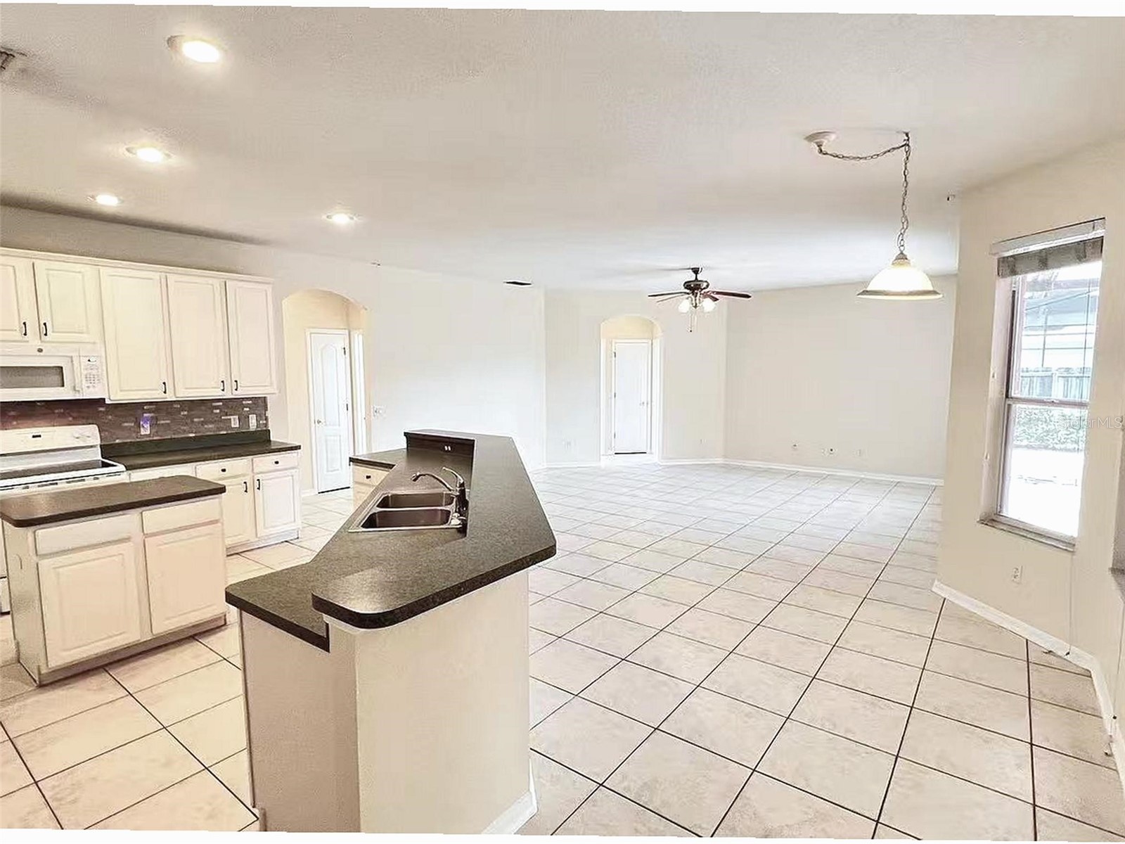 7823 Fernleaf Drive Orlando FL 32836 O6382831 image5