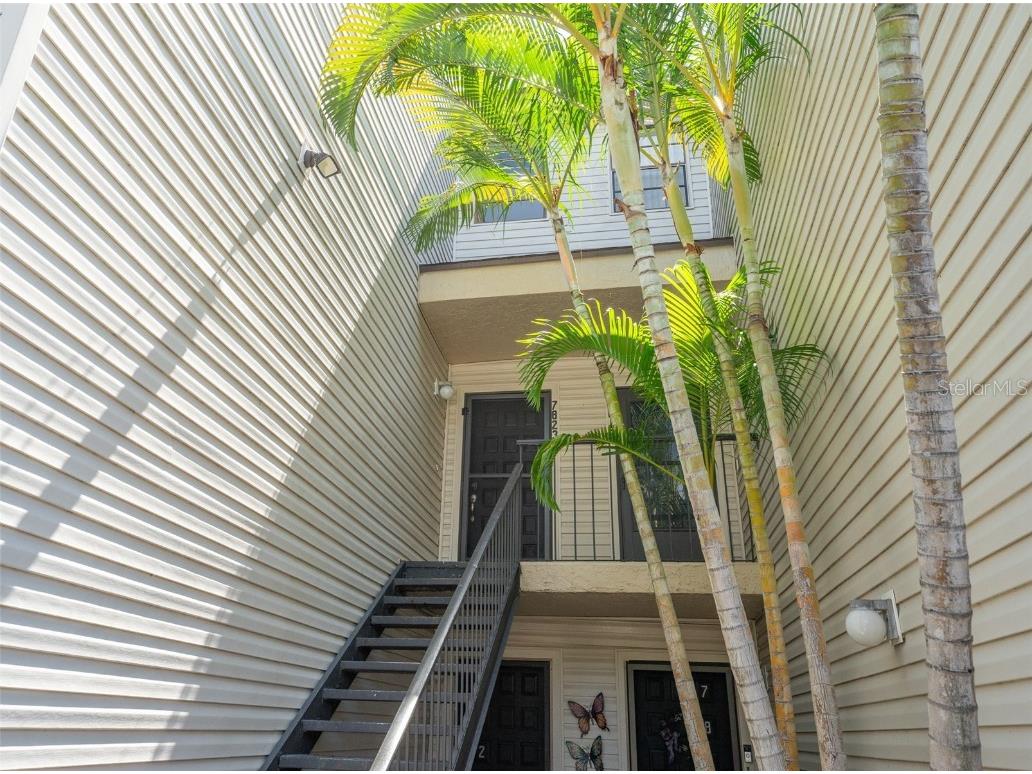 7823 Niagara Avenue #7823 Tampa FL 33617 T3543096 image1