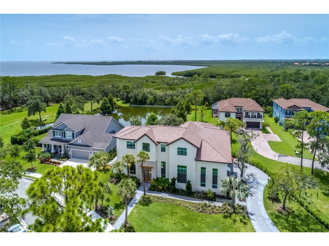 7824 Marsh Pointe Drive Tampa FL 33635 T3409130 image1