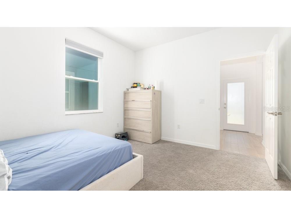 7824 Notched Pine Bend Wesley Chapel FL 33545 TB8488578 image14