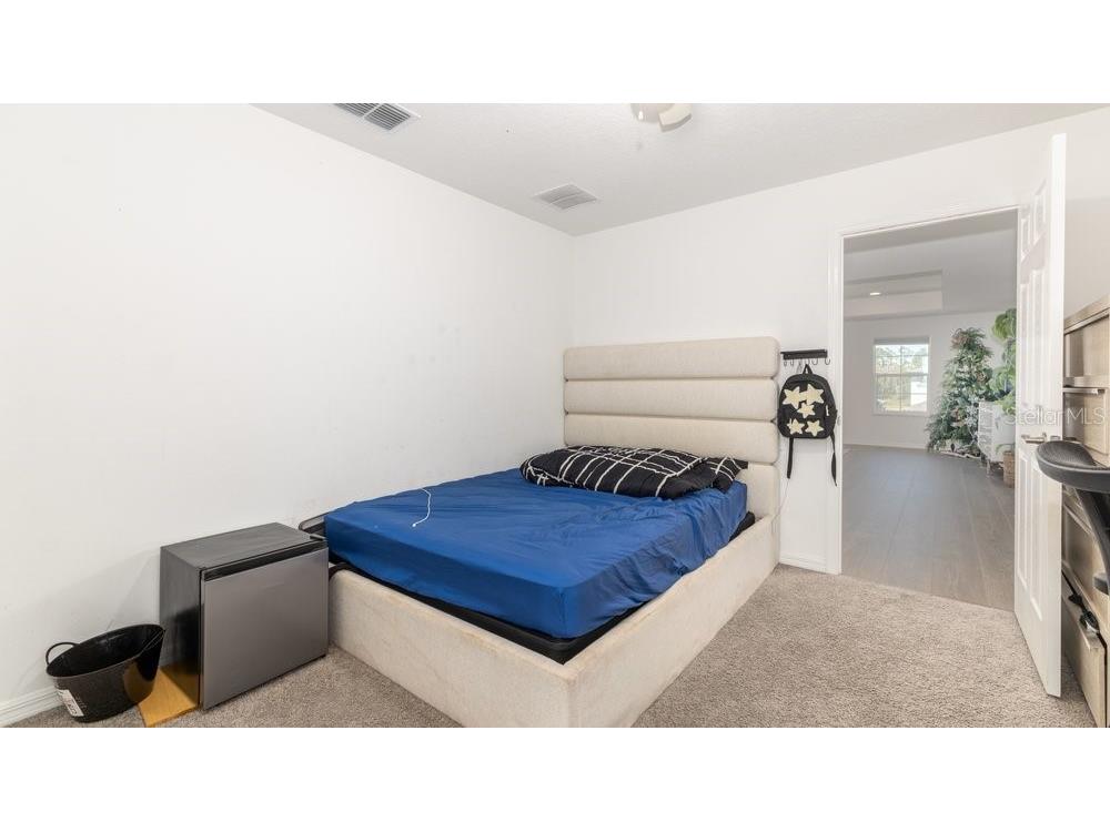 7824 Notched Pine Bend Wesley Chapel FL 33545 TB8488578 image18