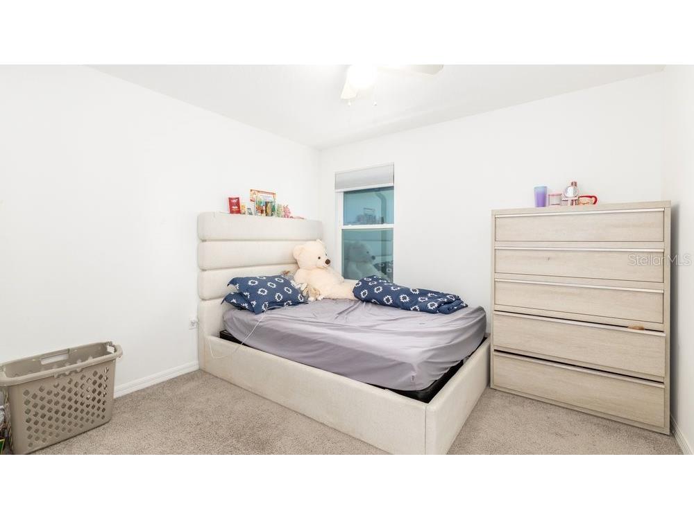 7824 Notched Pine Bend Wesley Chapel FL 33545 TB8488578 image21