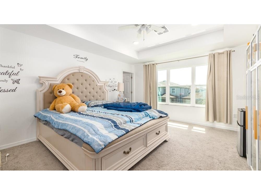 7824 Notched Pine Bend Wesley Chapel FL 33545 TB8488578 image22