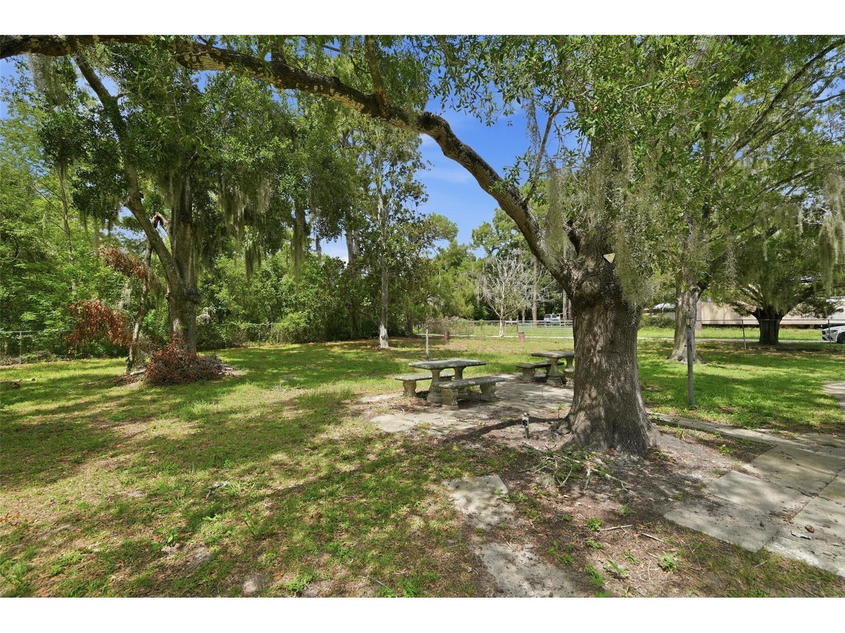 7825 Calabash Lane New Port Richey FL 34653 L4963552 image24
