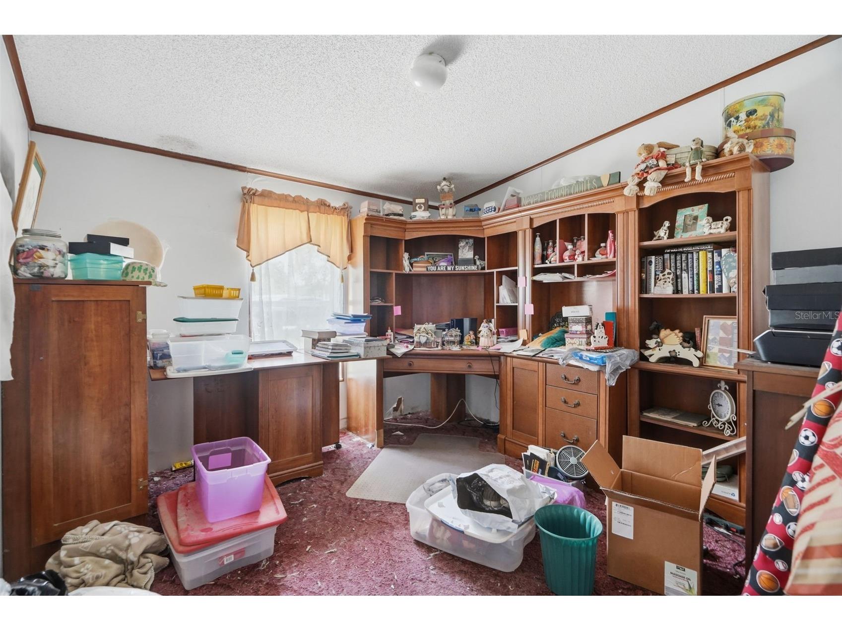 7825 Calabash Lane New Port Richey FL 34653 L4963552 image8