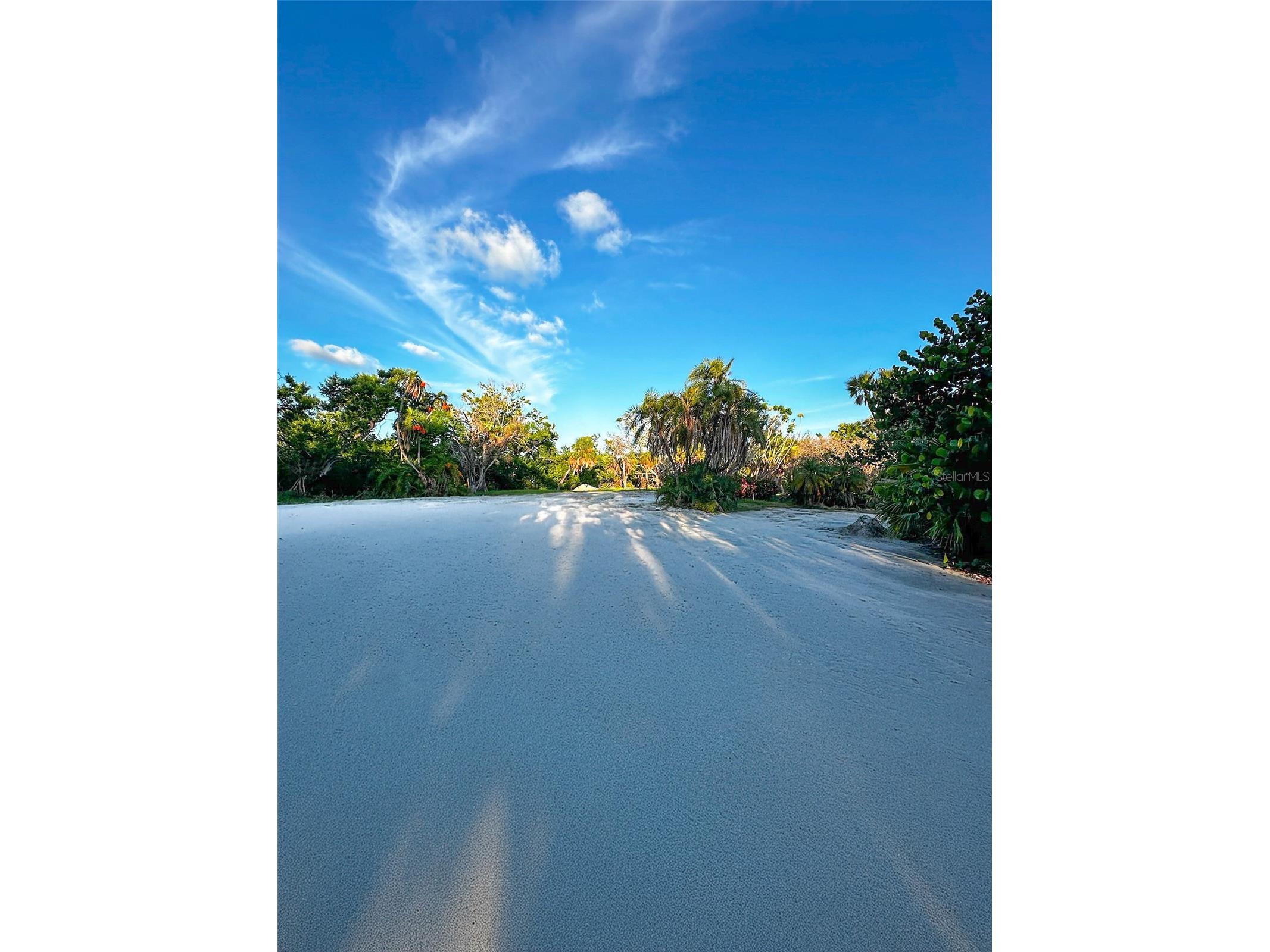 7825 Sanderling Road Sarasota FL 34242 - HERON LAGOON TB8508990 image20