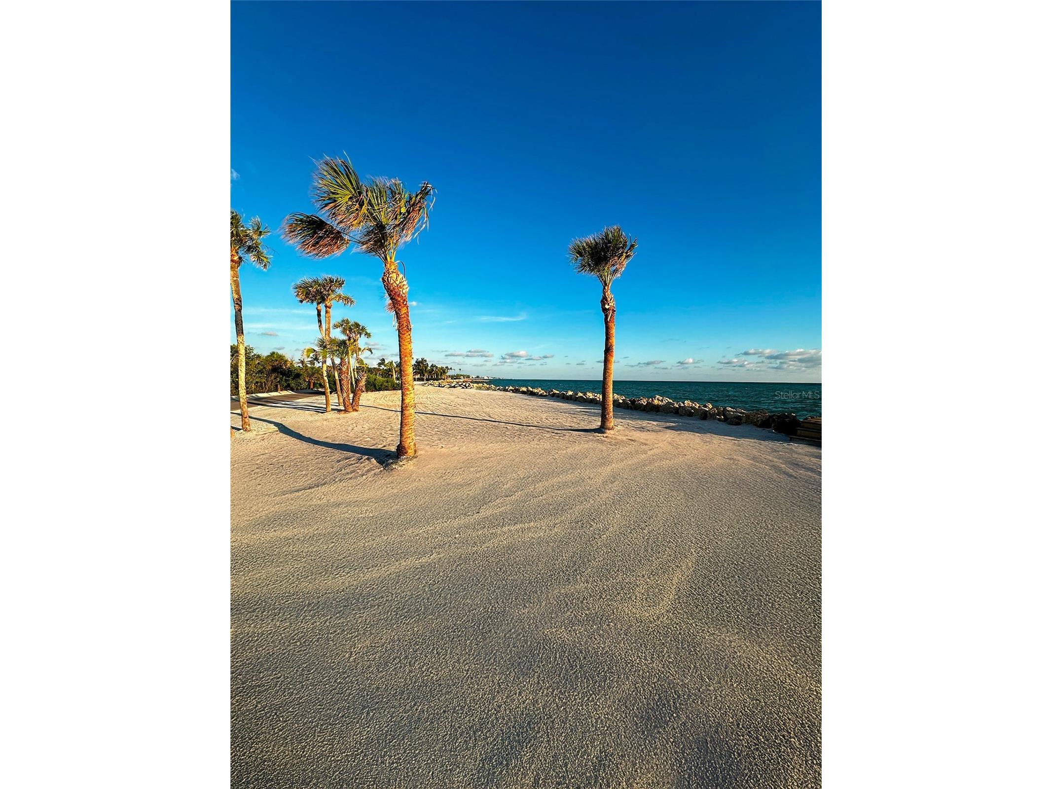 7825 Sanderling Road Sarasota FL 34242 - HERON LAGOON TB8508990 image24