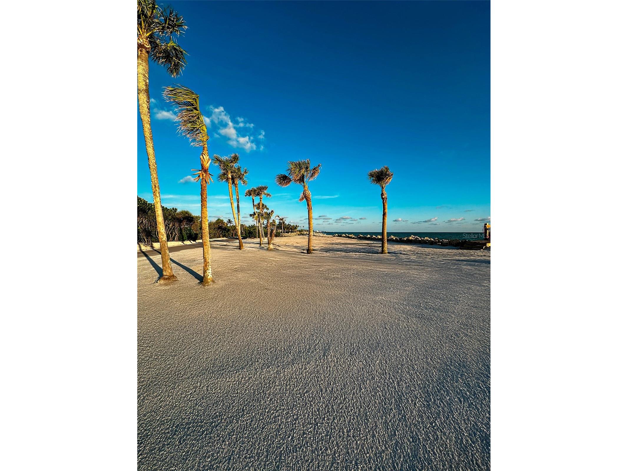 7825 Sanderling Road Sarasota FL 34242 - HERON LAGOON TB8508990 image25