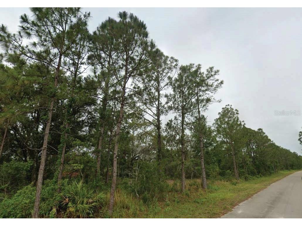 7827 & 7839 Marin + 7824 & 7836 Leonardo Street Sebring FL 33872 O6346018 image1