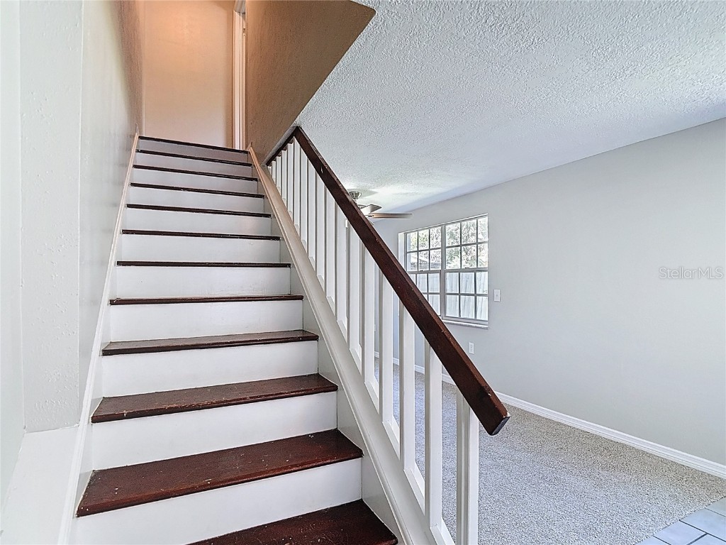 7827 Butler Avenue Hudson FL 34667 TB8417028 image39