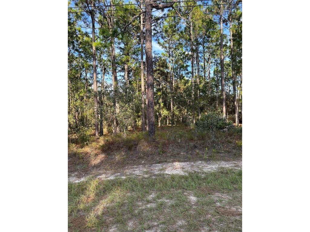 7827 N Vivian Way Citrus Springs FL 34434 U8218779 image1