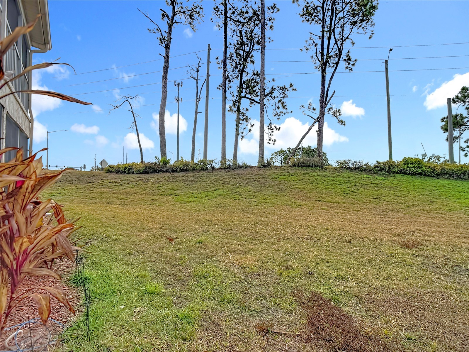 7828 Hardwick Drive #916 New Port Richey FL 34653 TB8476540 image35