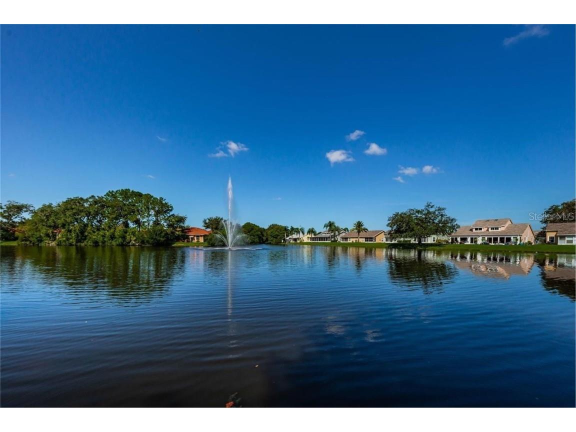 7828 Hardwick Drive #924 New Port Richey FL 34653 W7881199 image35