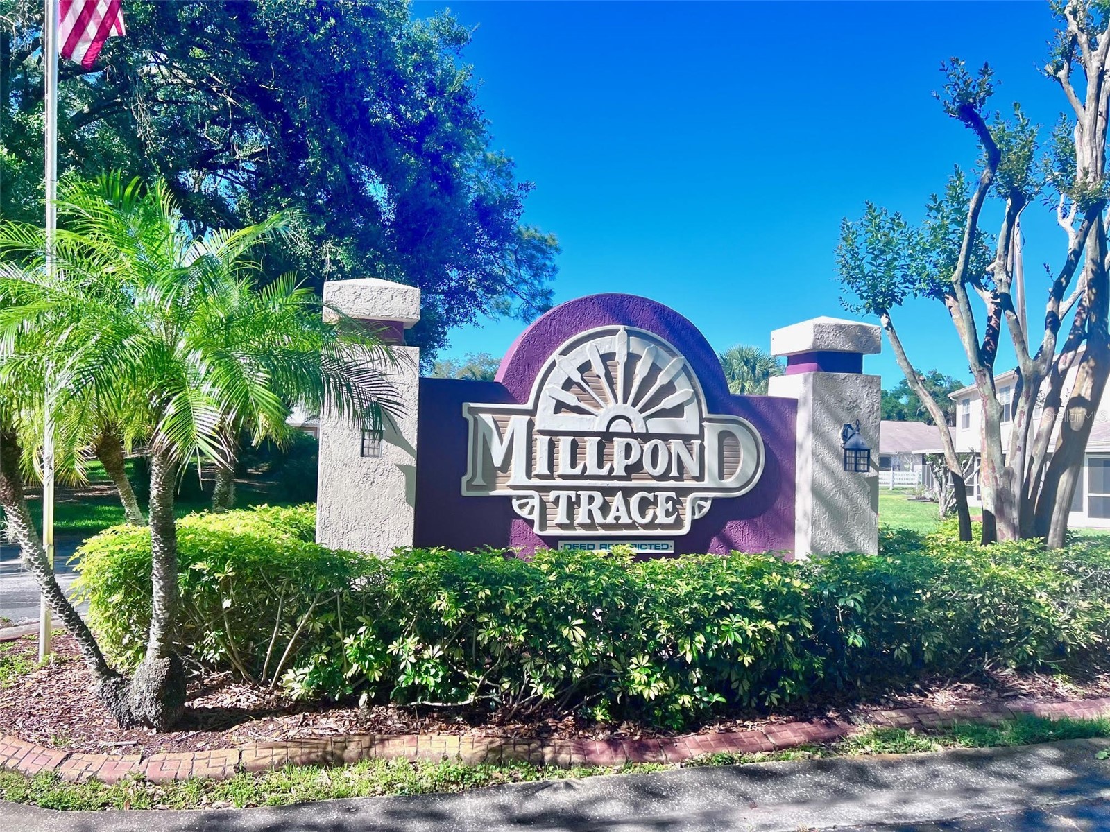 7828 Hardwick Drive #927 New Port Richey FL 34653 TB8487006 image3