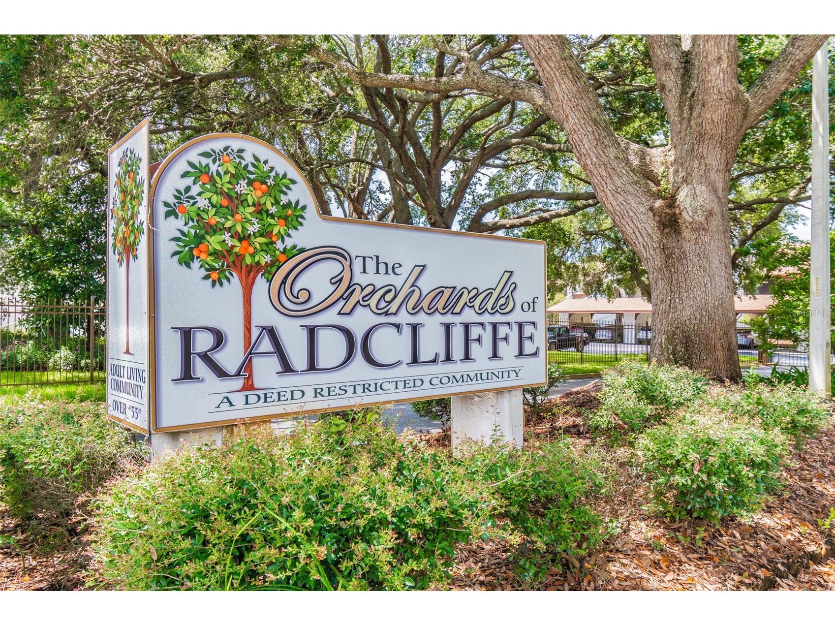 7828 Radcliffe Circle Port Richey FL 34668 TB8493195 image63