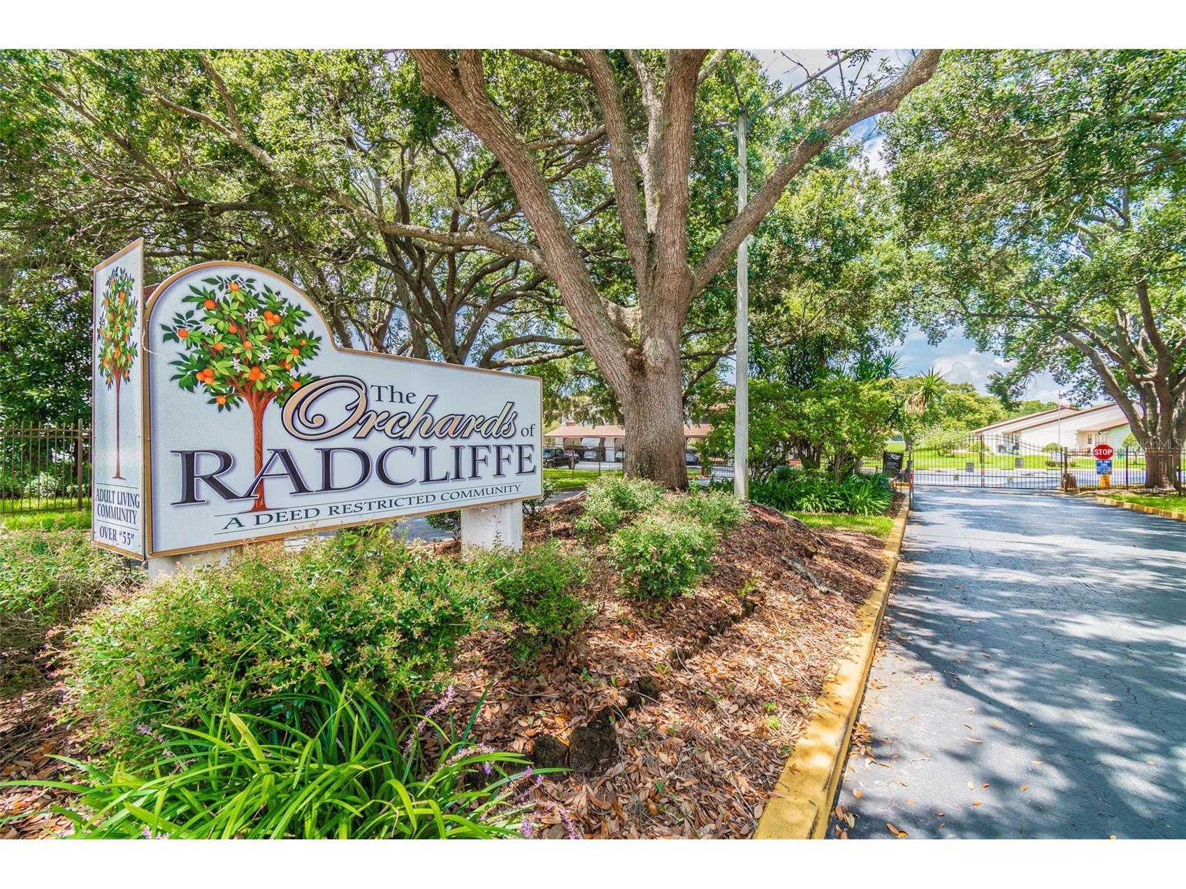 7828 Radcliffe Circle Port Richey FL 34668 TB8493195 image64