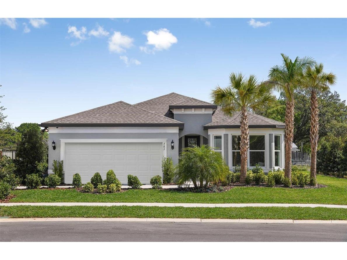 783 Little Cloud Place Valrico FL 33594 TB8311847 image1