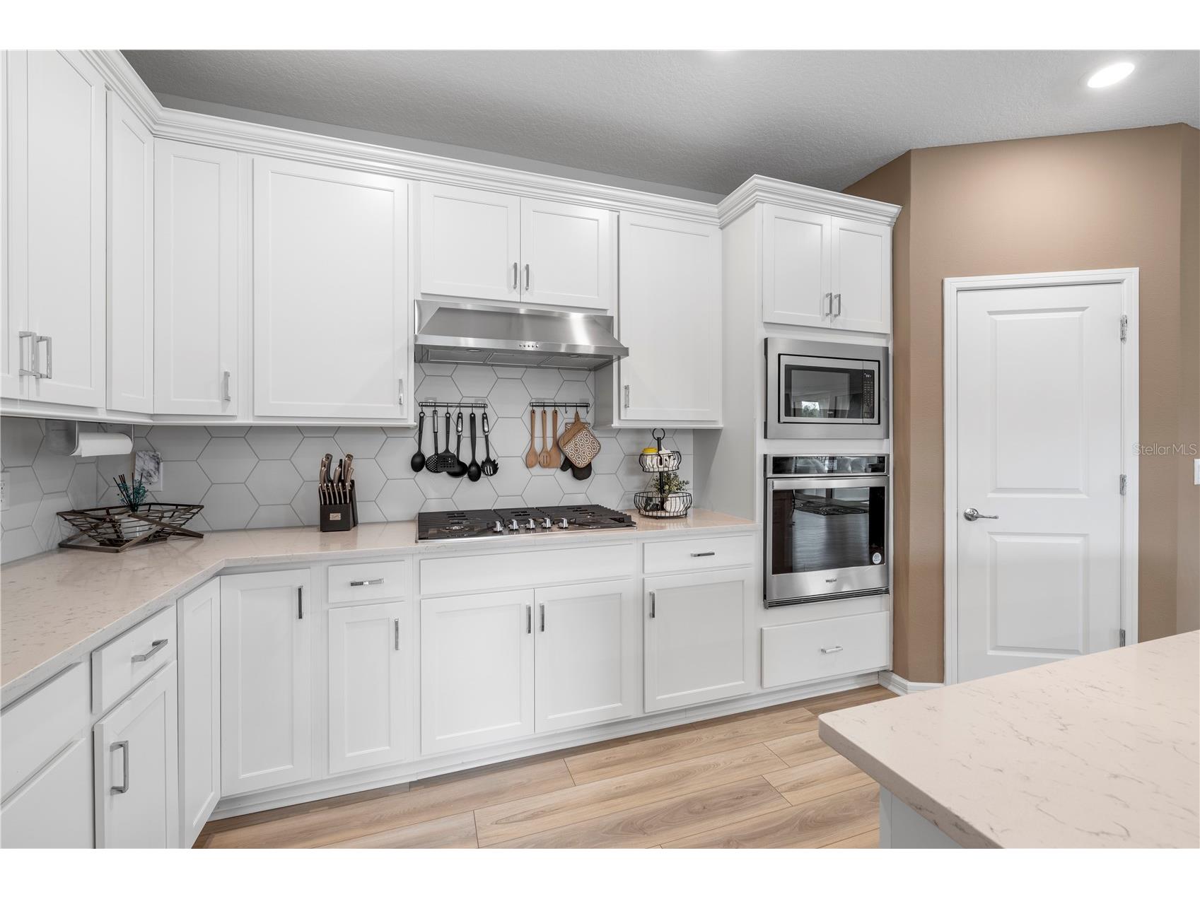 783 Little Cloud Place Valrico FL 33594 TB8513702 image8