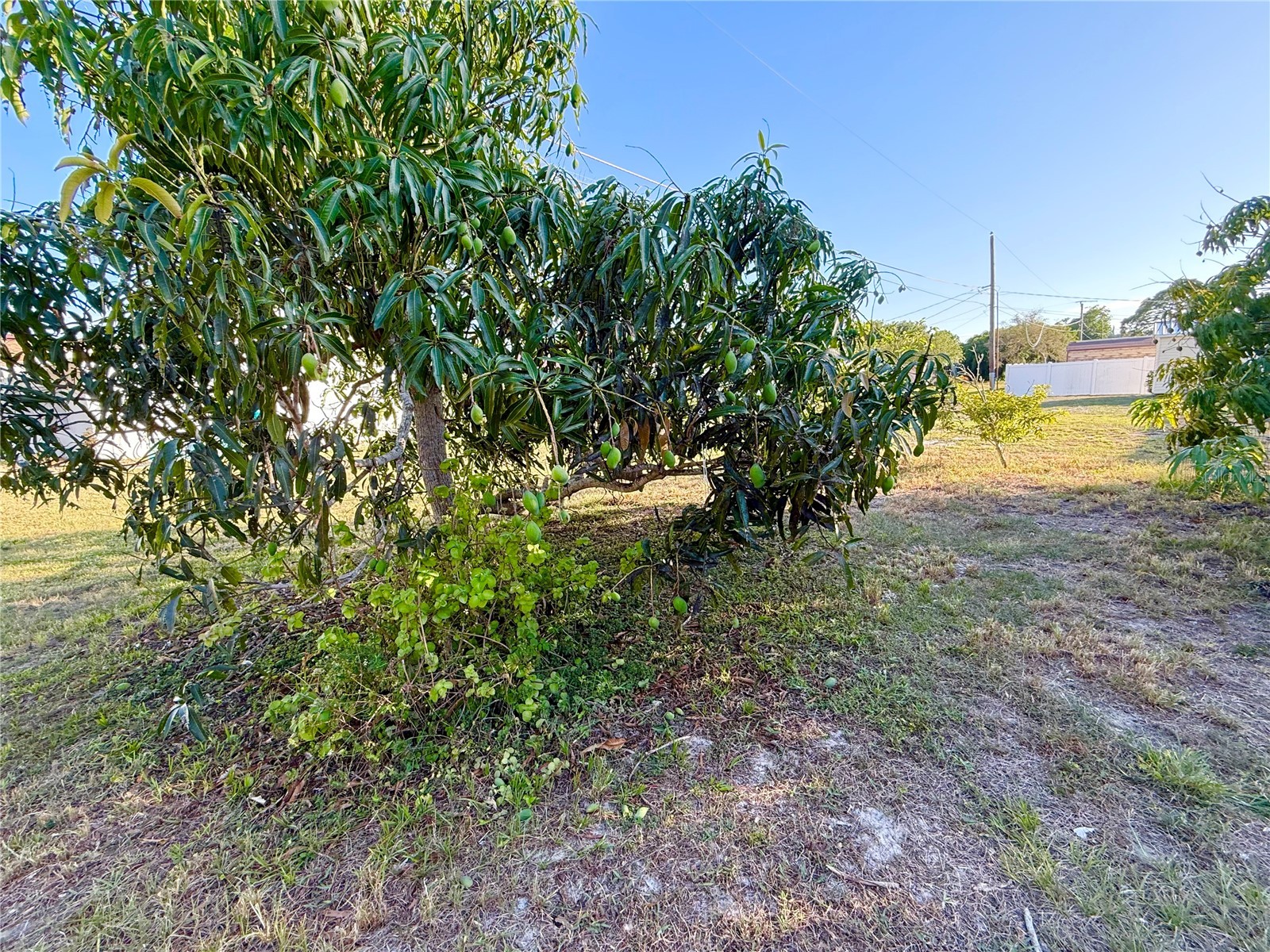 783 Spring Lake Boulevard NW Port Charlotte FL 33952 C7522867 image22