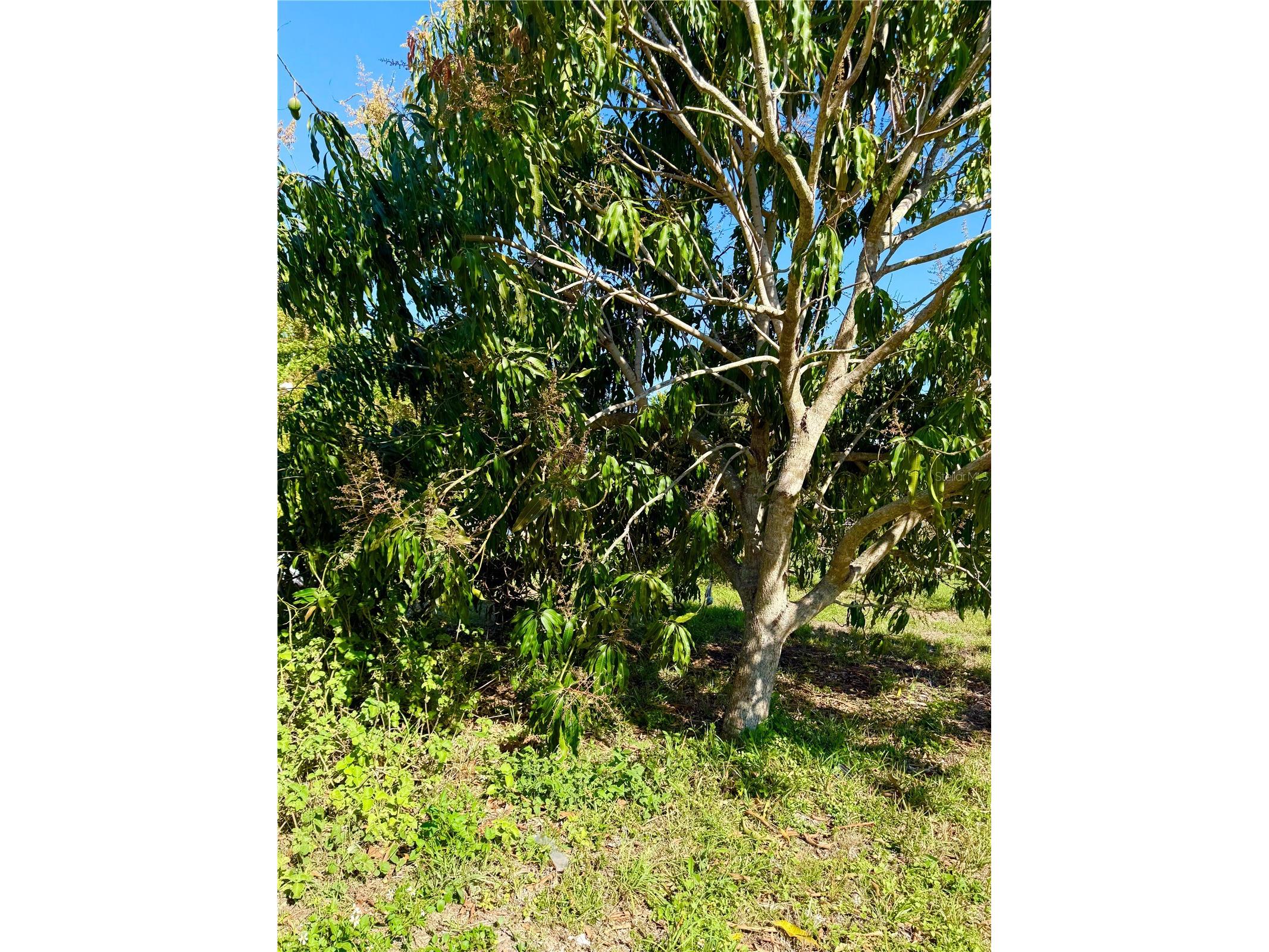 783 Spring Lake Boulevard NW Port Charlotte FL 33952 C7522867 image9