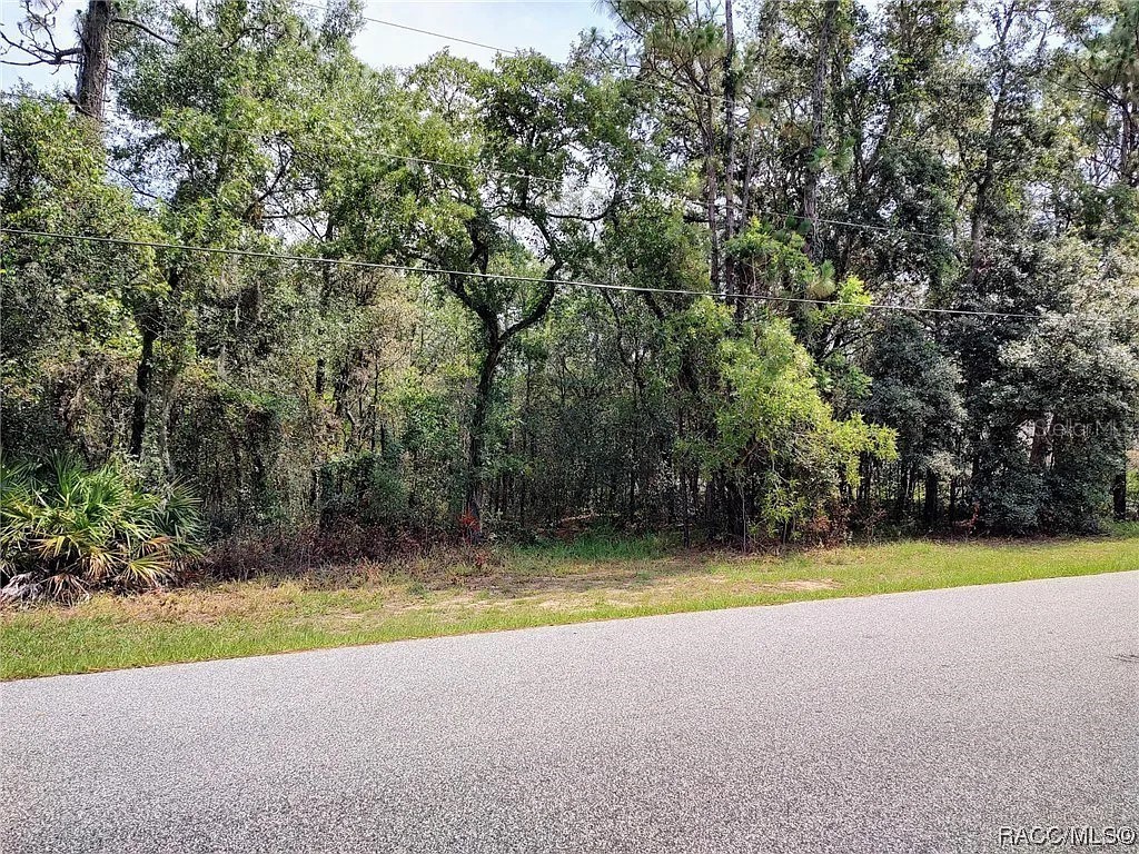 783 W Massachusetts Street Hernando FL 34442 J967077 image1