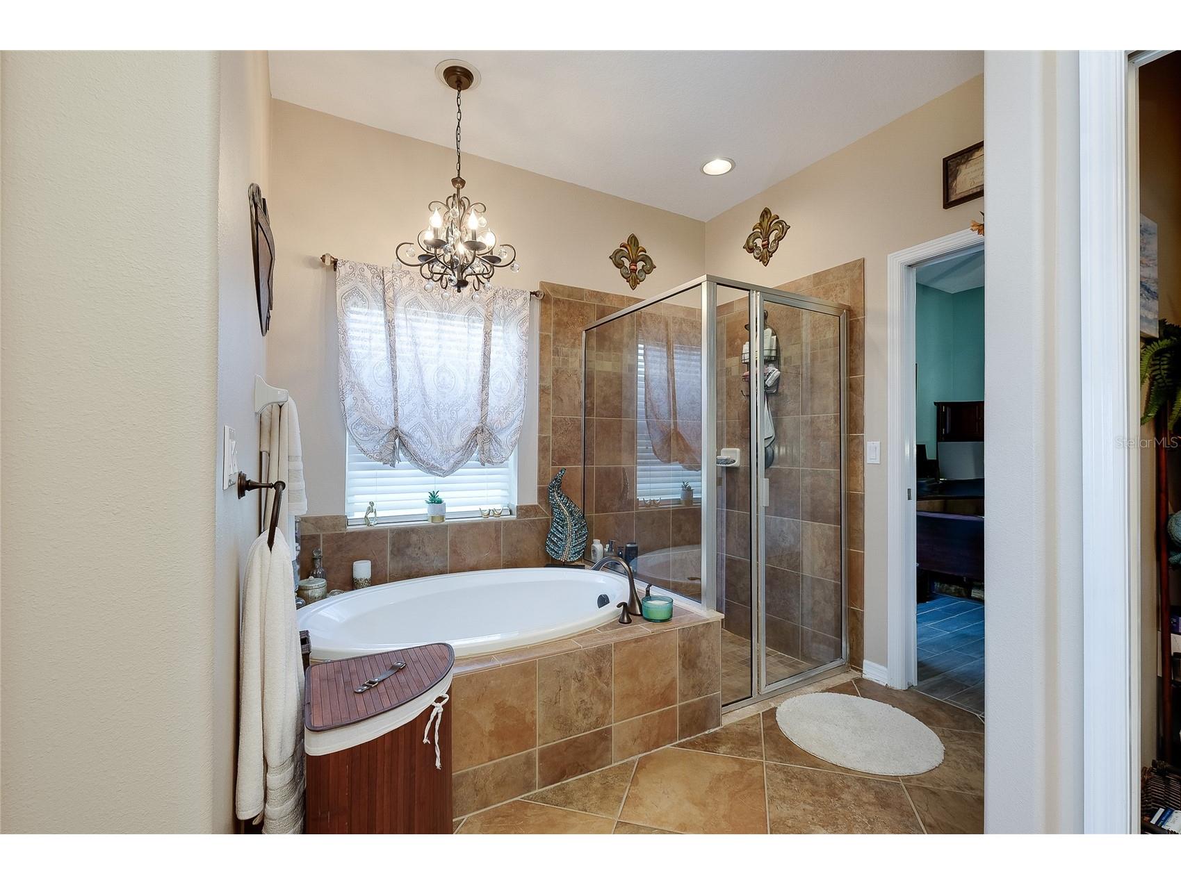 7830 113th Avenue E Parrish FL 34219 A4697856 image37