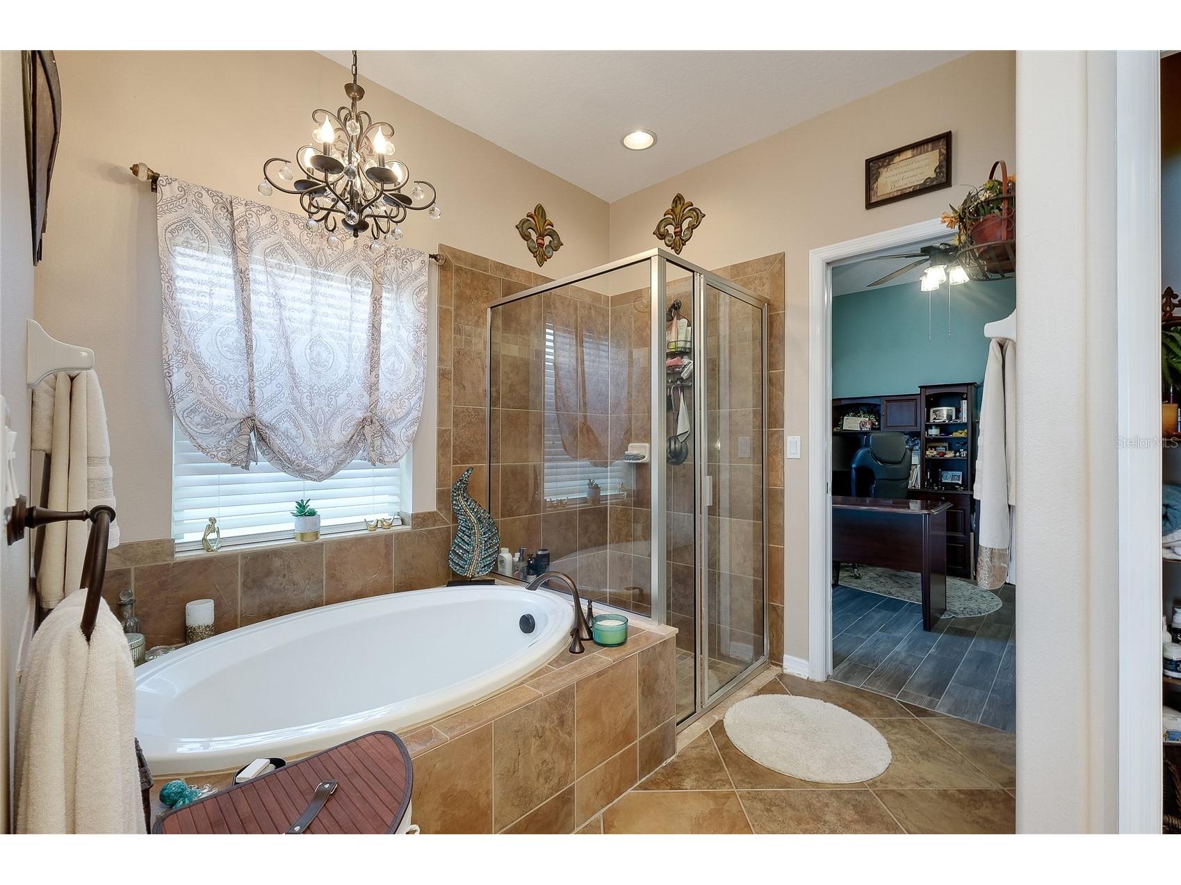 7830 113th Avenue E Parrish FL 34219 A4697856 image39