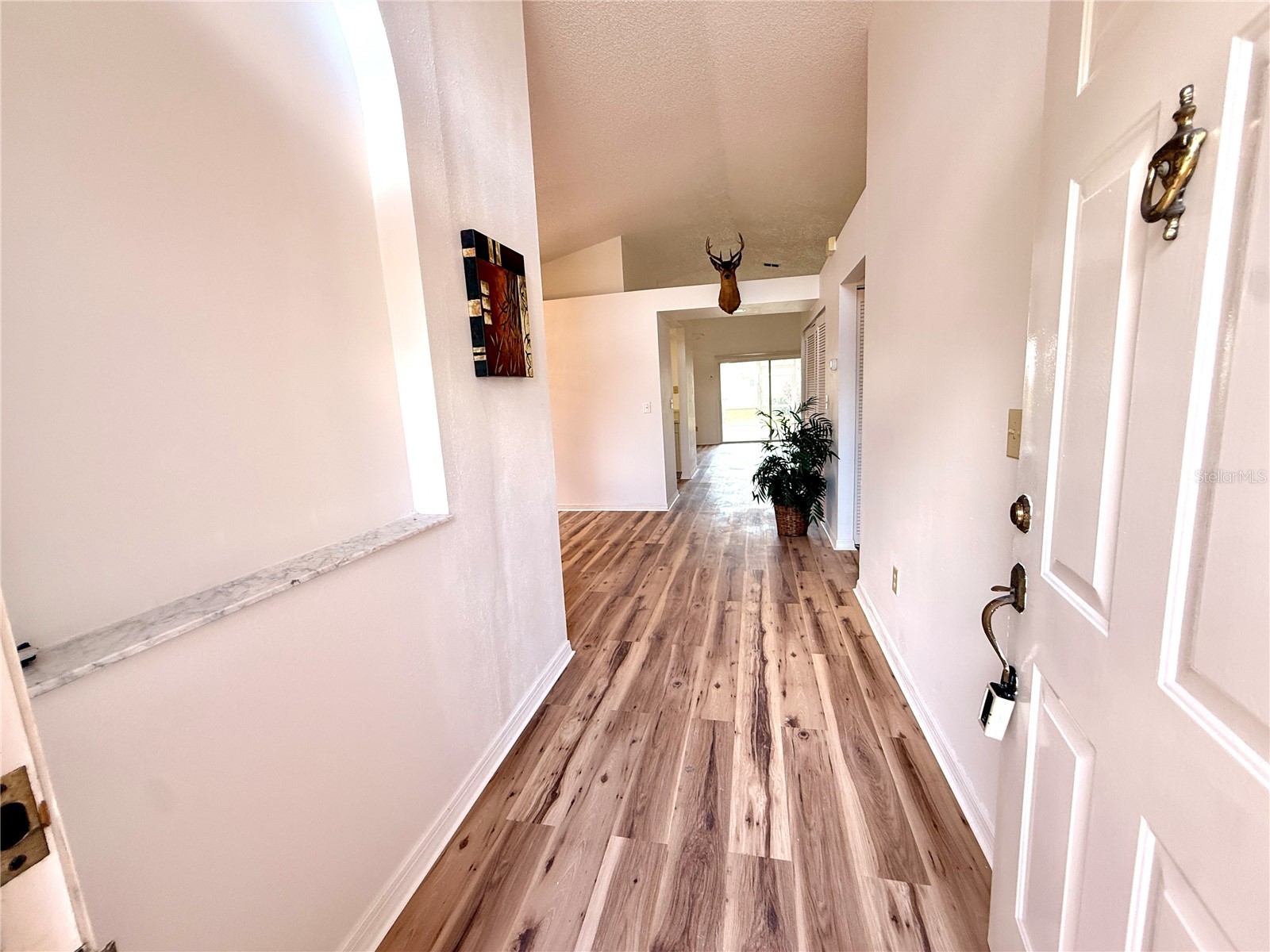 7830 Becket Street New Port Richey FL 34653 TB8486845 image6