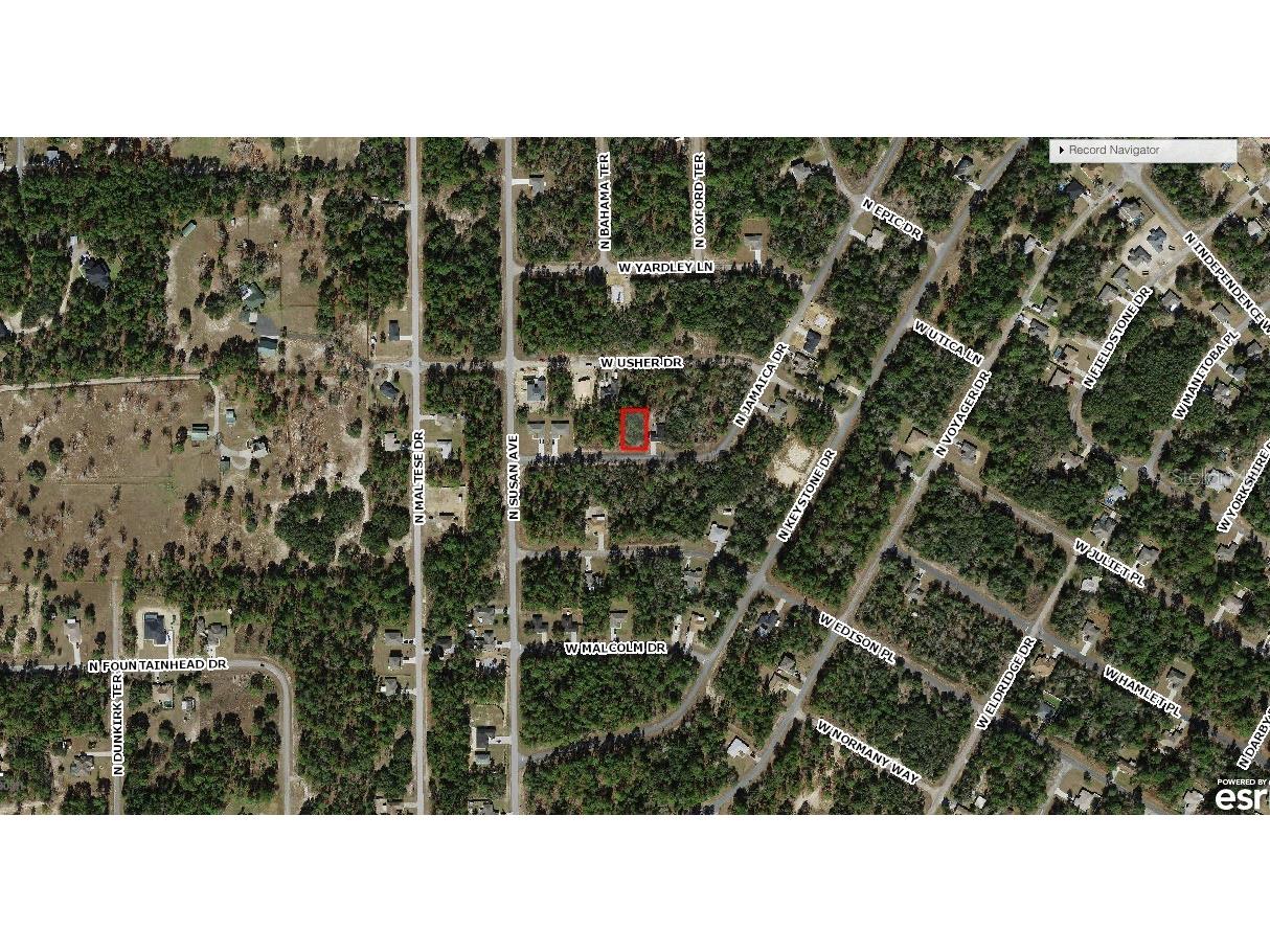 7830 N Jamaica Drive Citrus Springs FL 34434 OM713412 image3