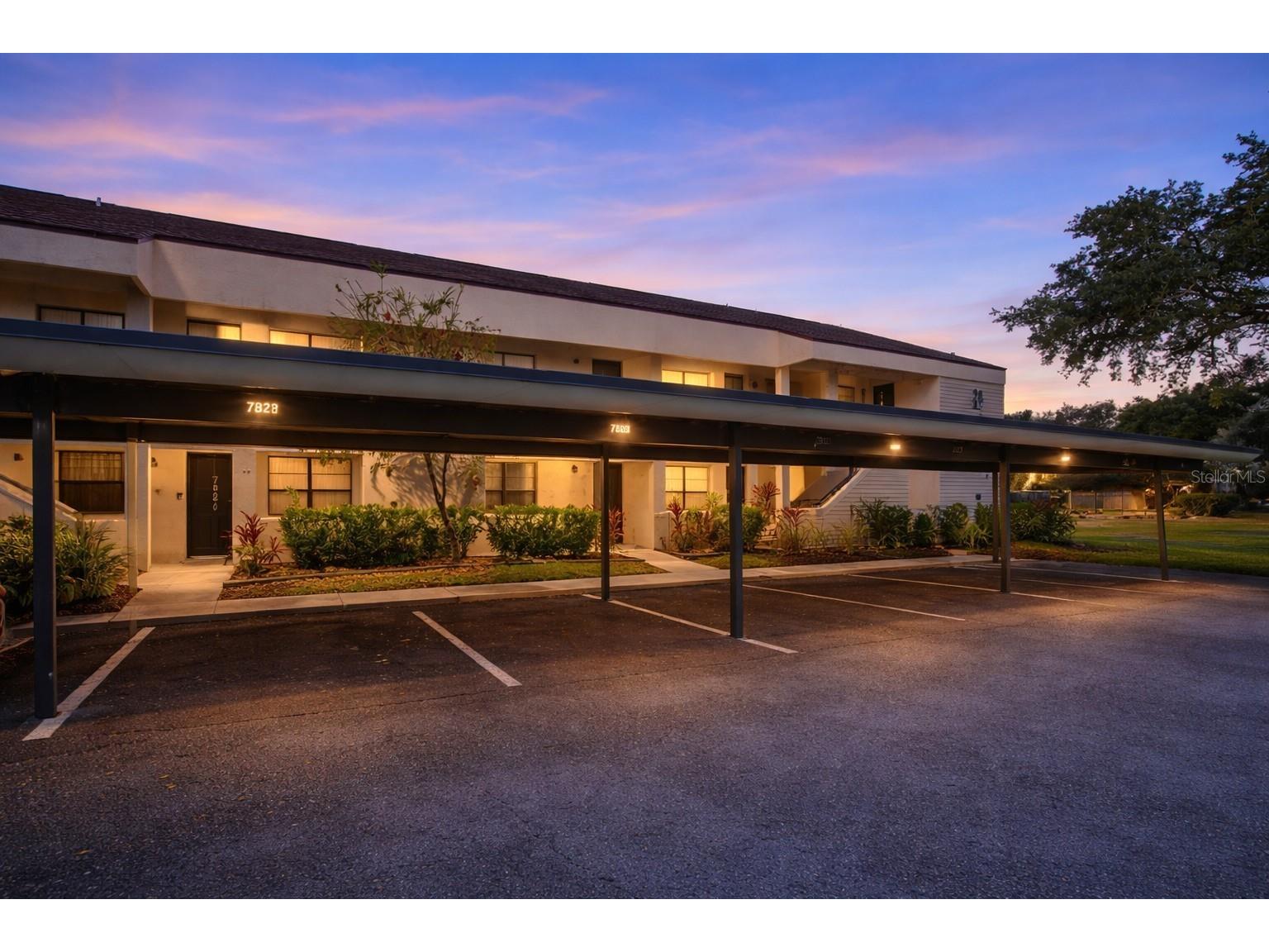 7830 Niagara Avenue #303 Tampa FL 33617 TB8480595 image1