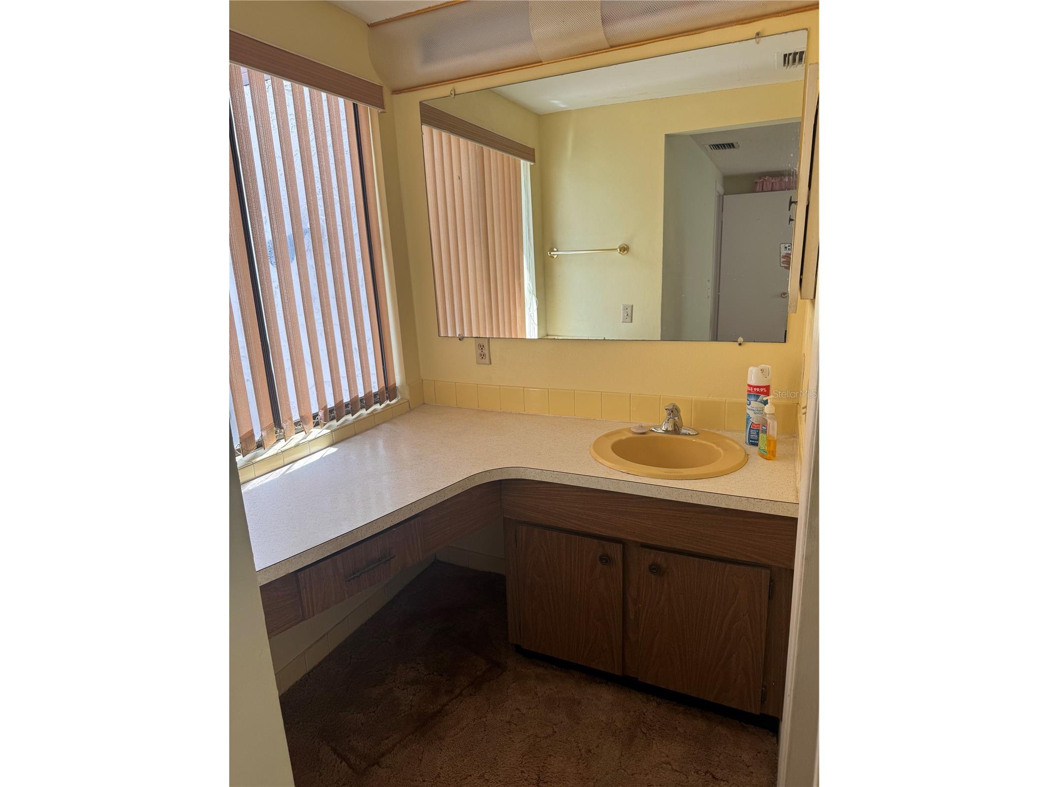7831 Bridle Path Row Hudson FL 34667 TB8496625 image14