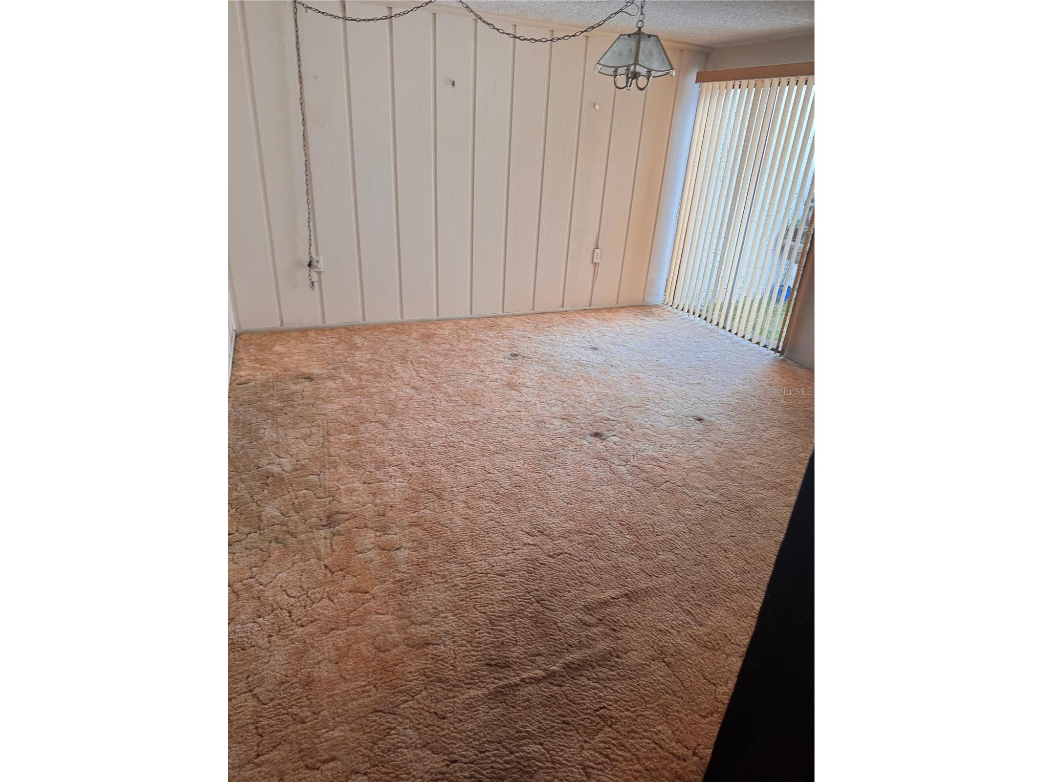 7831 Bridle Path Row Hudson FL 34667 TB8496625 image21