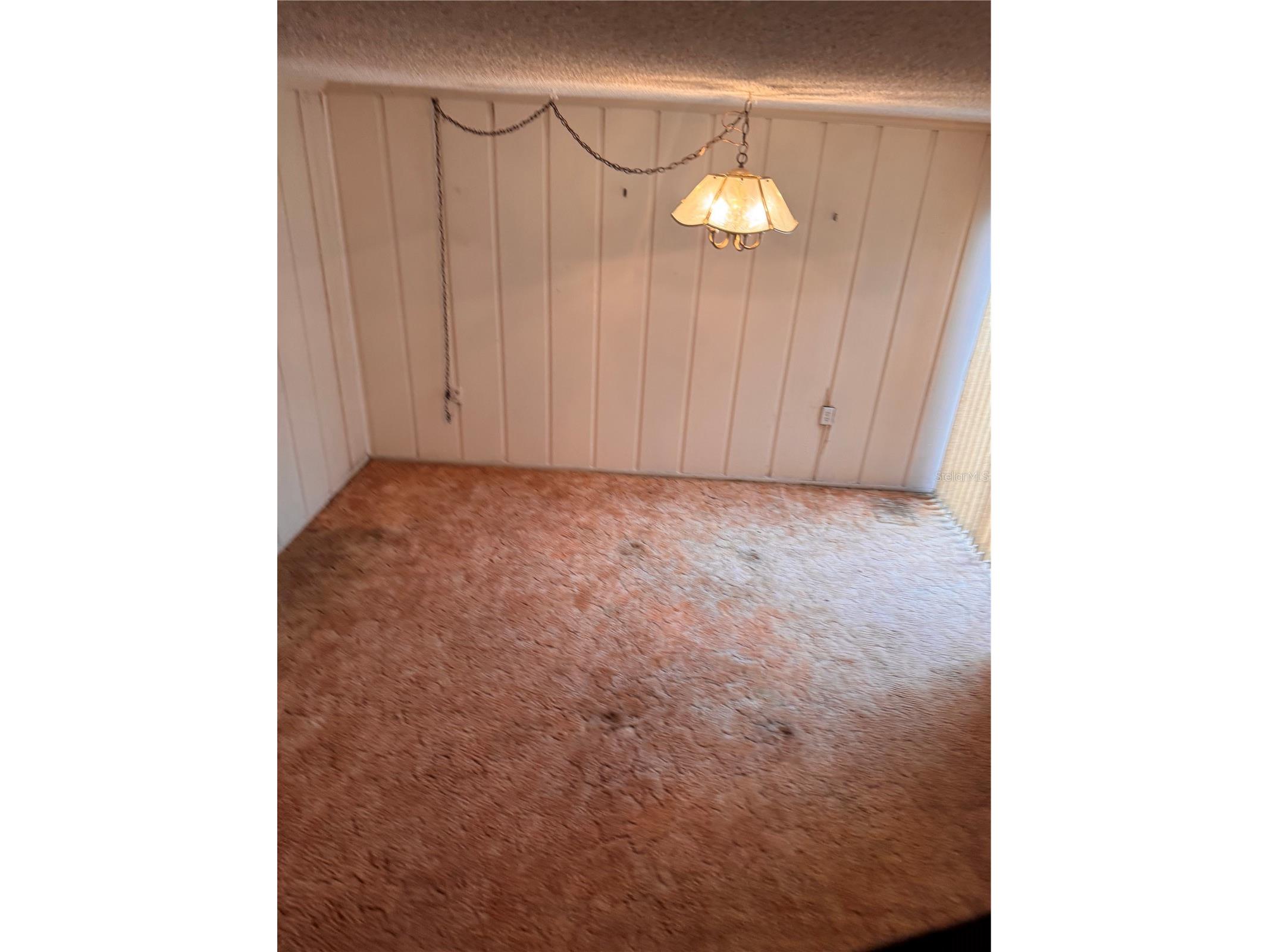 7831 Bridle Path Row Hudson FL 34667 TB8496625 image22