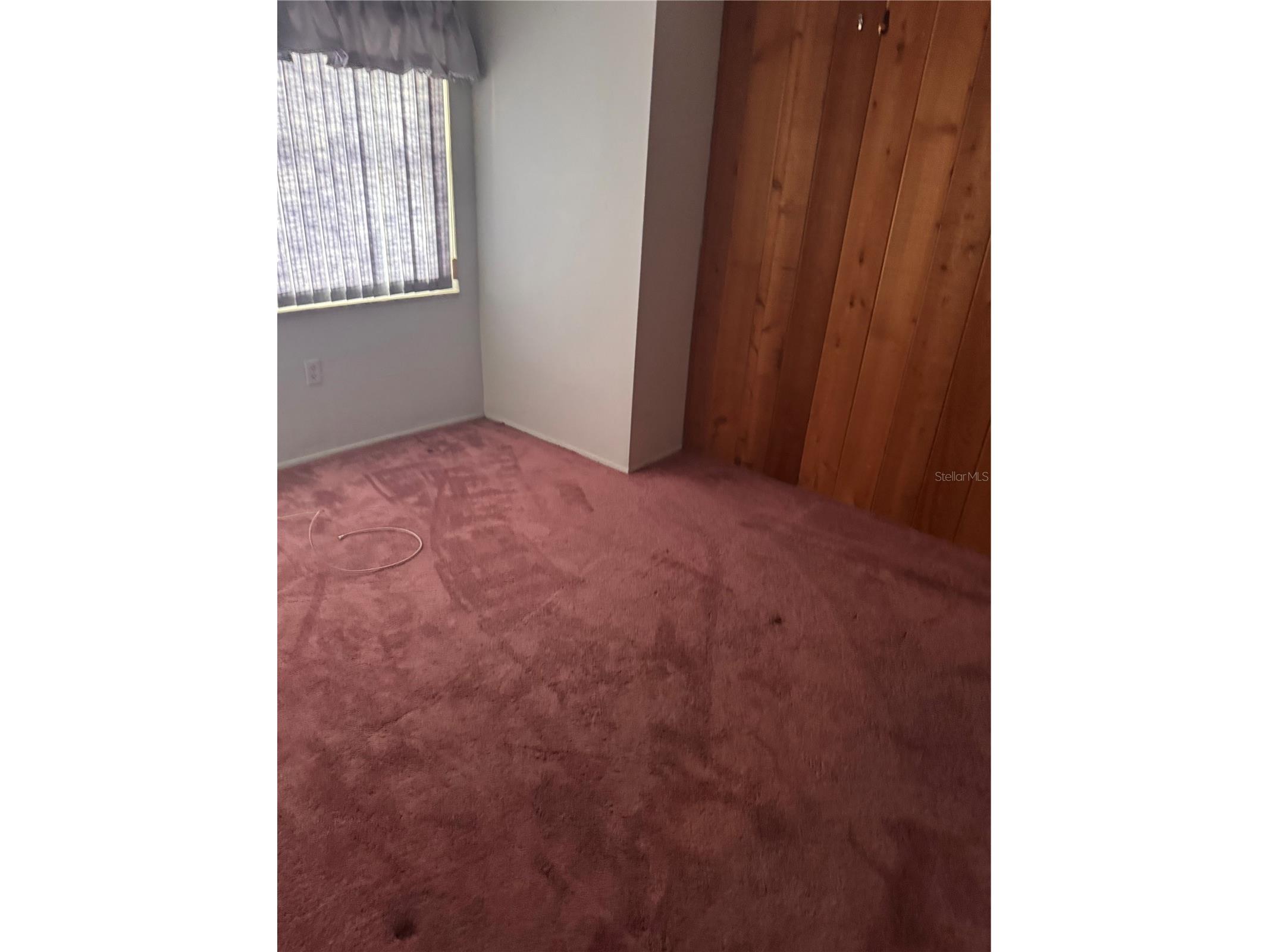 7831 Bridle Path Row Hudson FL 34667 TB8496625 image25