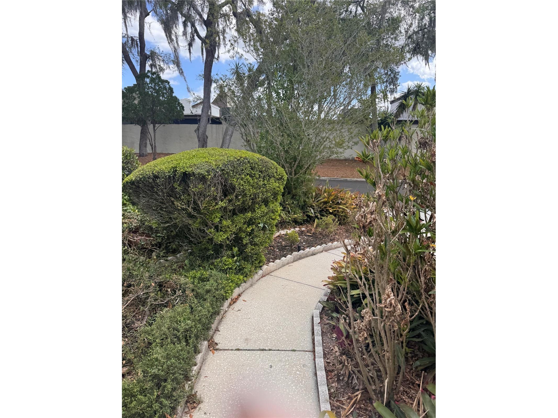 7831 Bridle Path Row Hudson FL 34667 TB8496625 image28