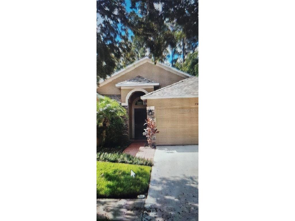 7832 Blue Spring Drive Land O Lakes FL 34637 TB8313029 image1