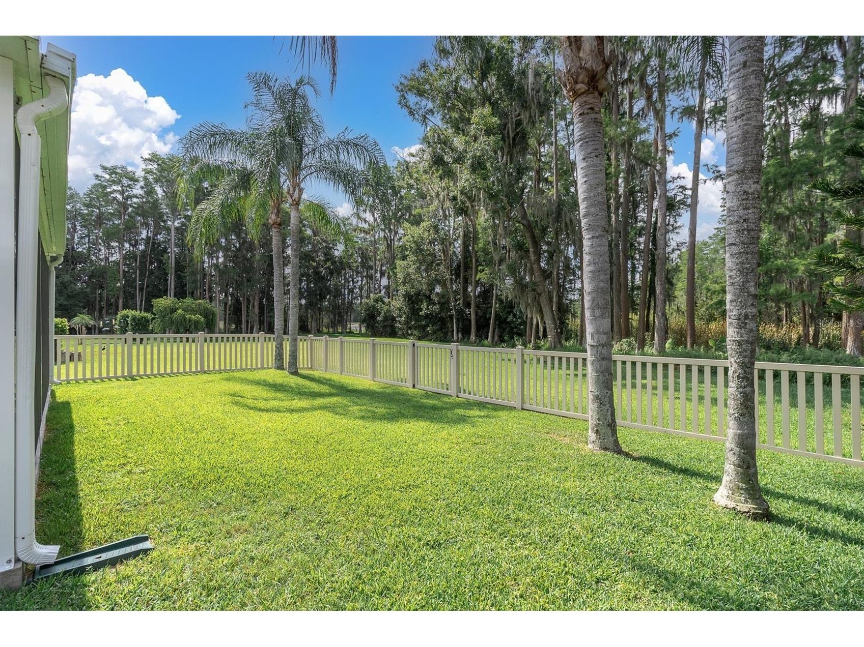 7832 Blue Spring Drive Land O Lakes FL 34637 TB8523972 image33
