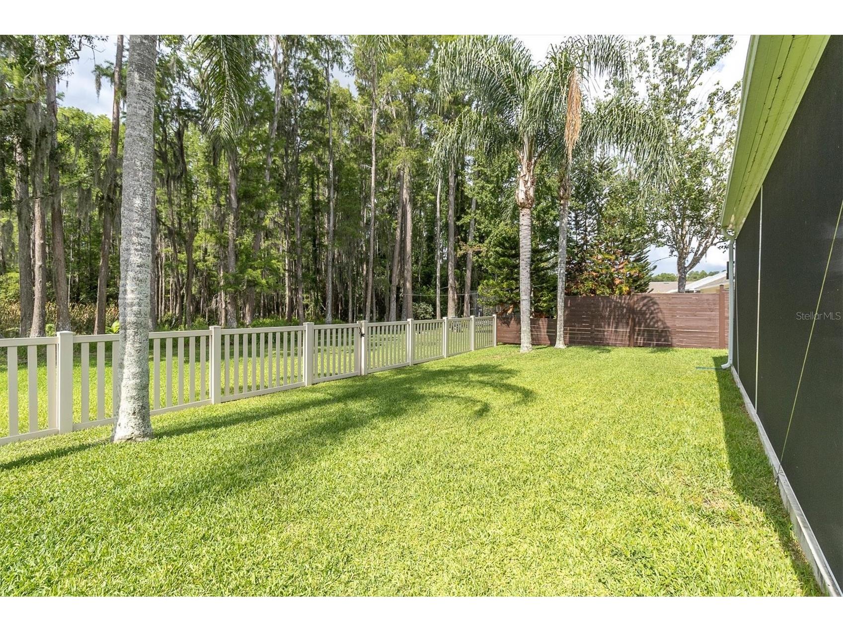 7832 Blue Spring Drive Land O Lakes FL 34637 TB8523972 image36