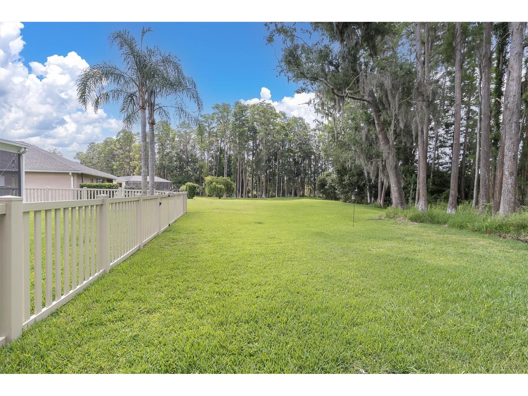 7832 Blue Spring Drive Land O Lakes FL 34637 TB8523972 image37