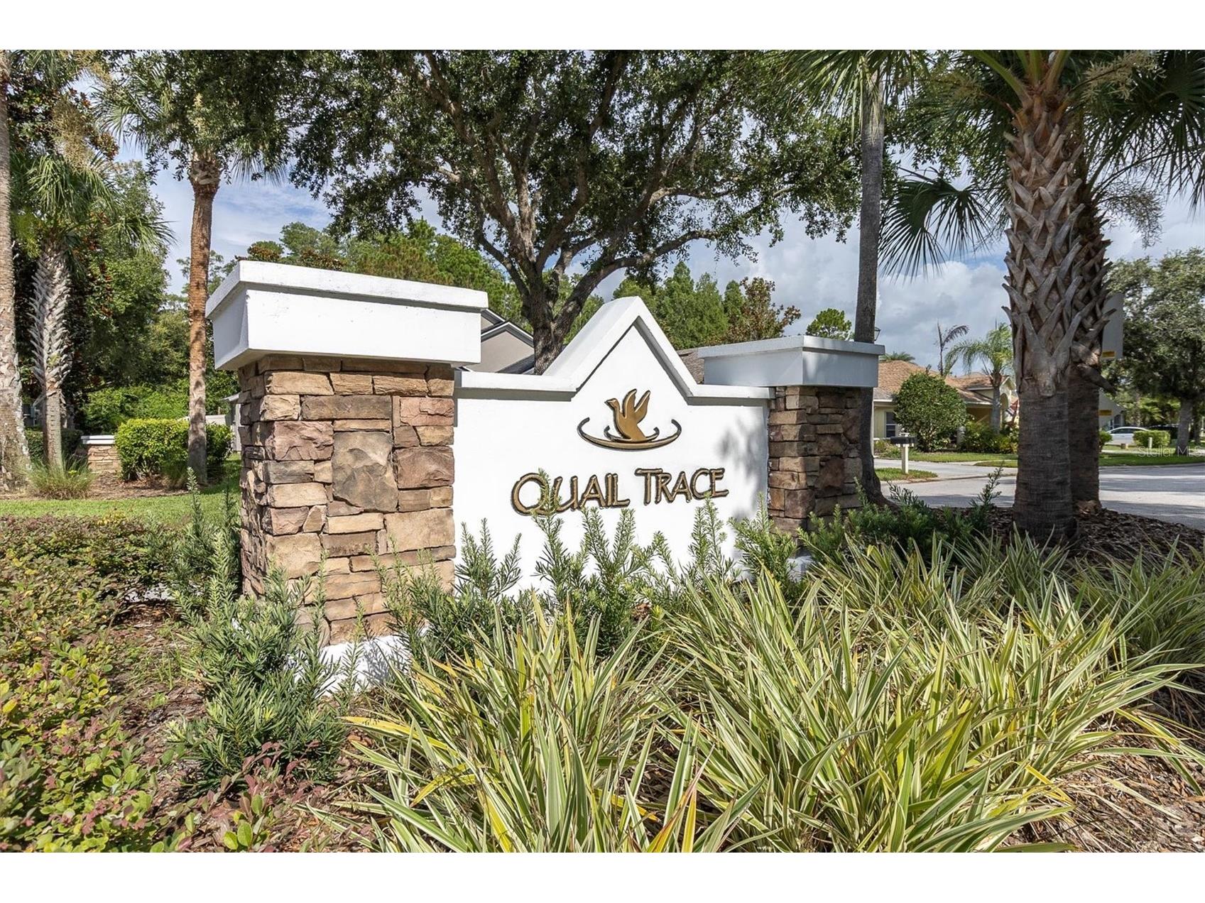 7832 Blue Spring Drive Land O Lakes FL 34637 TB8523972 image41