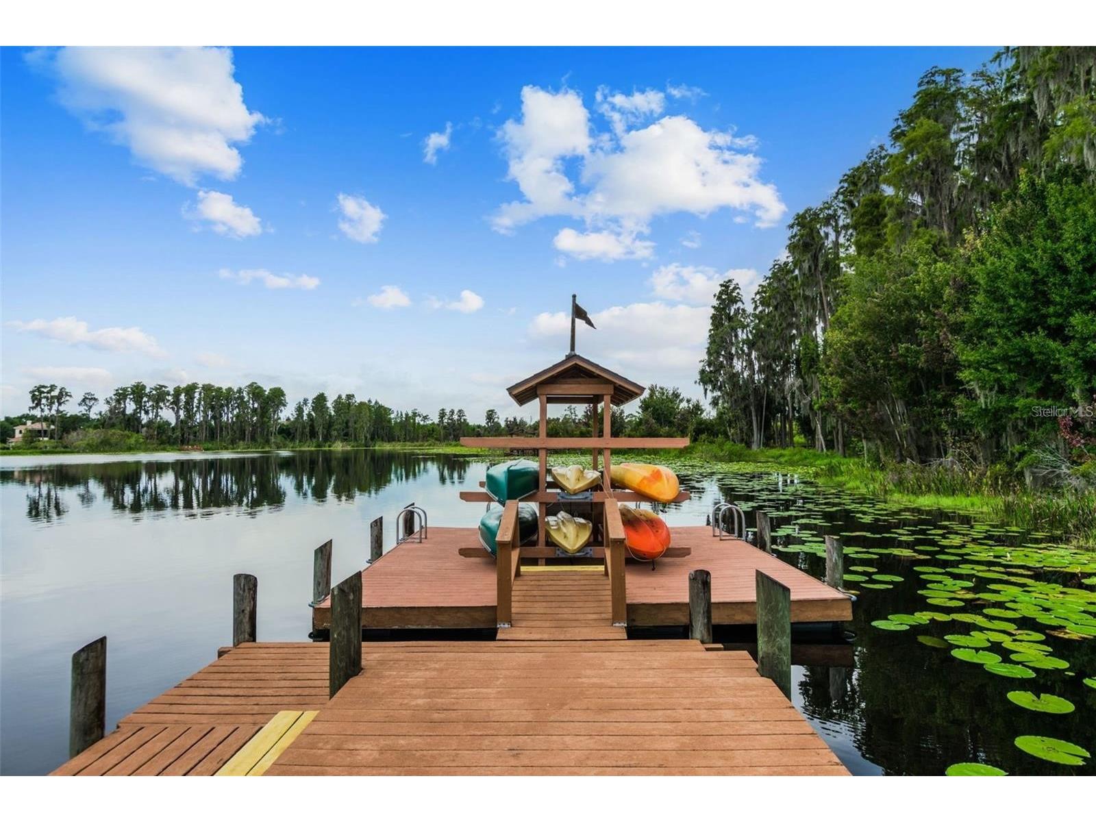 7832 Blue Spring Drive Land O Lakes FL 34637 TB8523972 image43