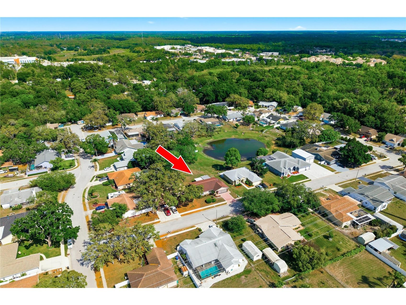 7832 Mcpherson Drive New Port Richey FL 34653 TB8498768 image2